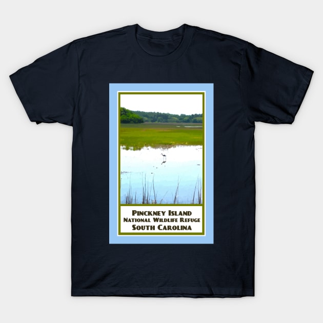 Vintage Travel Pinckney Island T-Shirt by candhdesigns